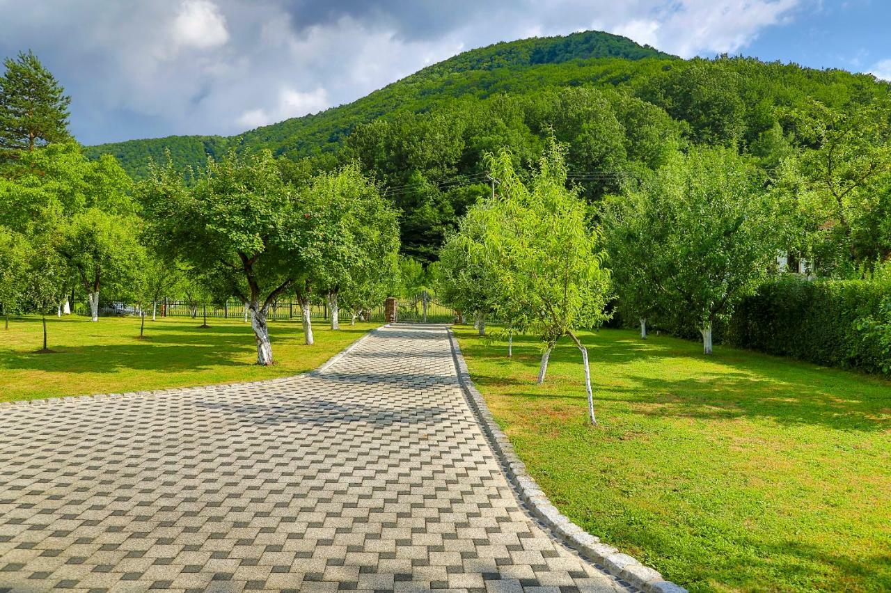 Holiday Home Villa Sara Bihać Eksteriør billede